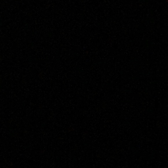 Meet your Posher, Bella - Picture 1 of 1